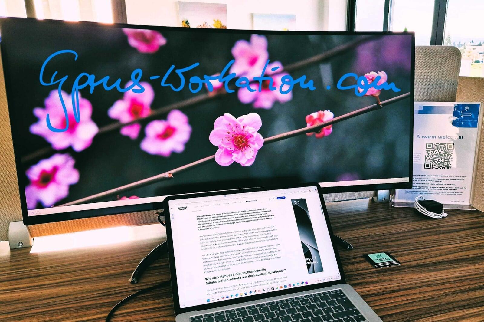 Workation Desks