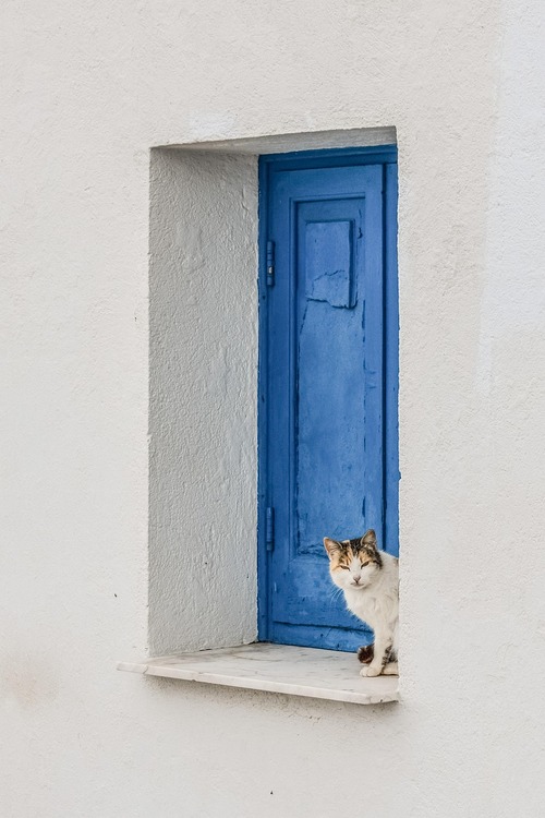 Shared apartment in a white cypriot house with blue window