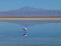 Larnaca Salt Lake